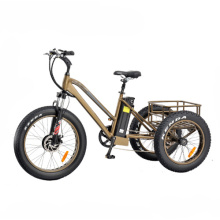 Vélo cargo tricycle électrique Fat Tire avec moteur avant 350W